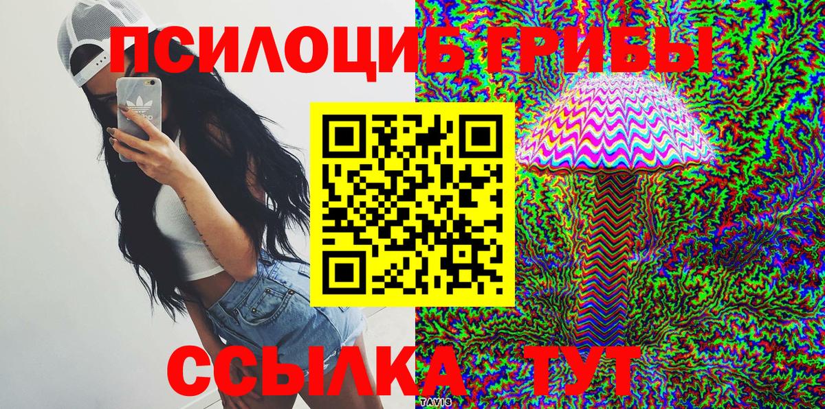Псилоцибиновые грибы мицелий  Вход с VPN  Северобайкальск 