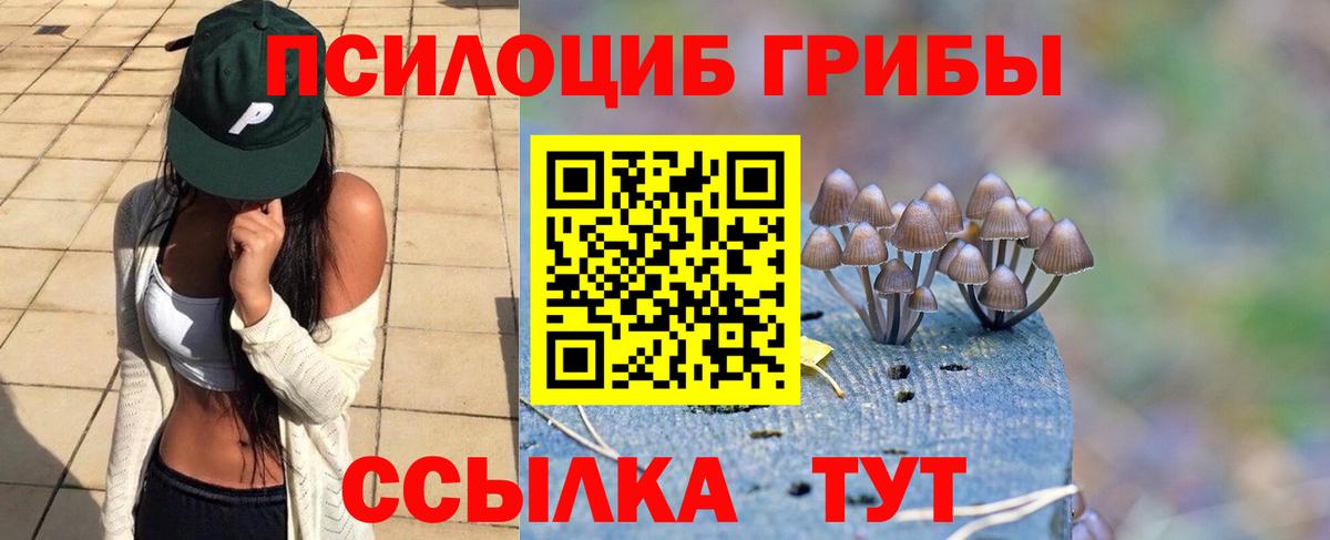 Псилоцибиновые грибы мицелий Северобайкальск