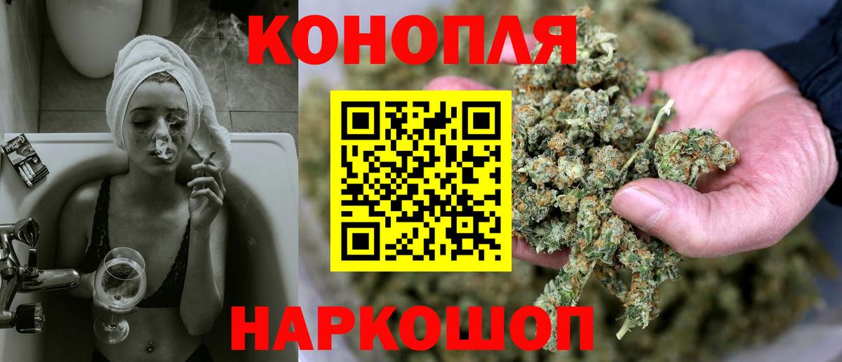 Каннабис OG Kush Северобайкальск